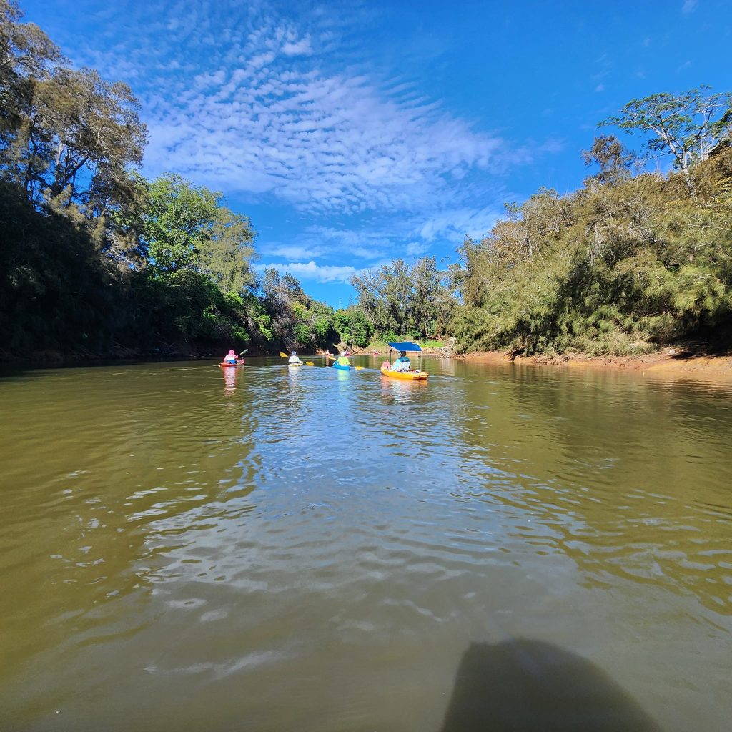 Kayakers on Lake Wilson under blue sky with white clouds