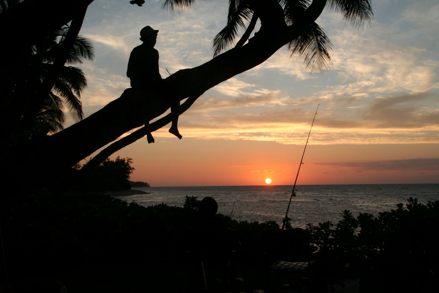 Sunset on the horizon with a silhouette of a man sitting in coconut tree