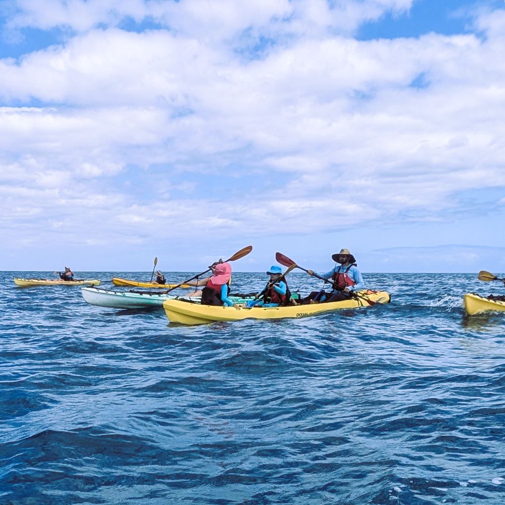 Philpott family in a tandem