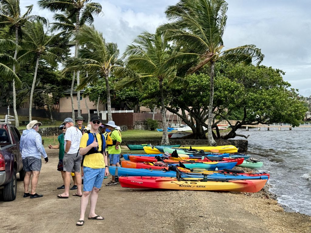 Kayaks lined up on the beach
