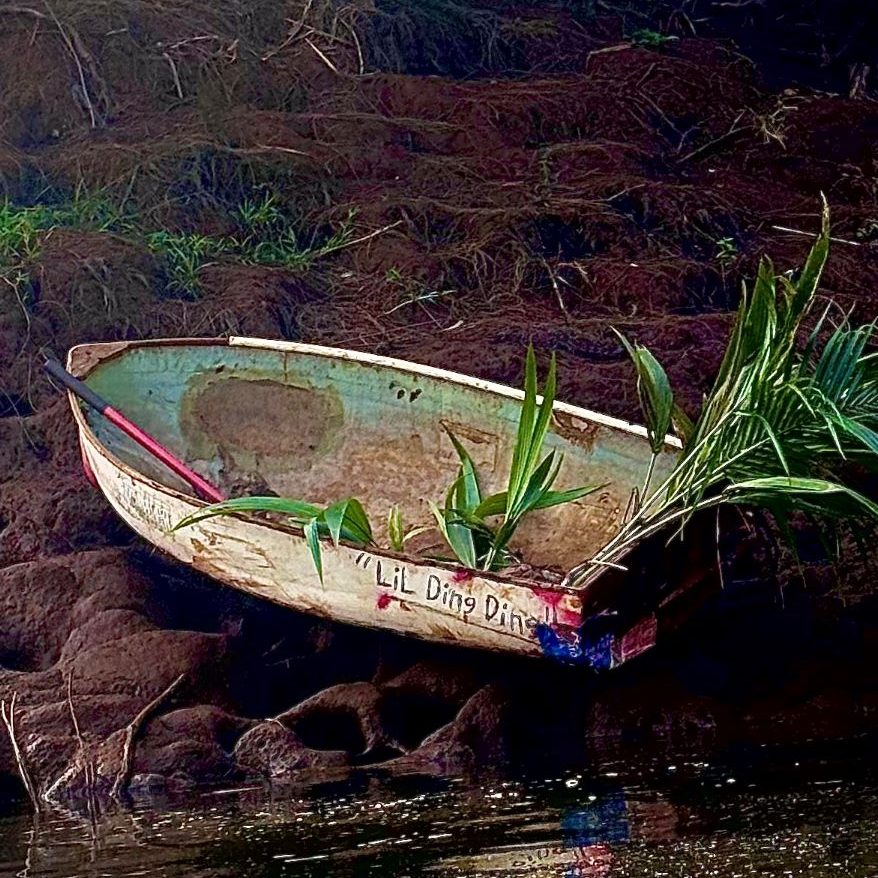 Rowboat named "Lil Ding Ding" on shore with coconut trees inside