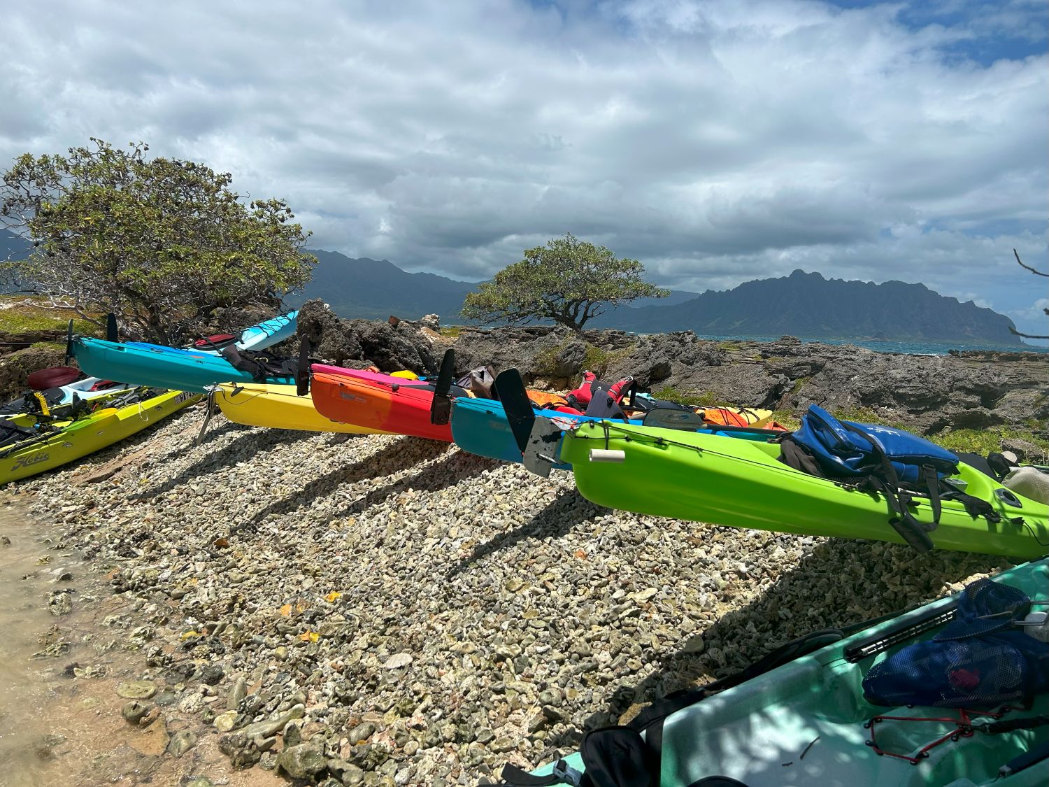 Kayaks parked on a rocky beach